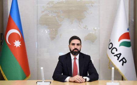 Rövşən Çingiz oğlu Nəcəf SOCAR-a prezident təyin olundu