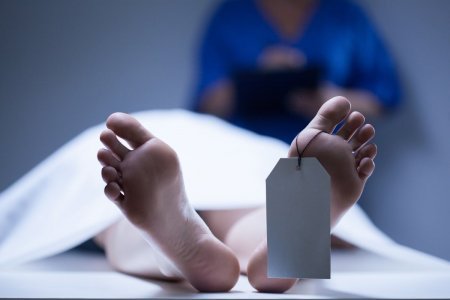 Cəlləbadda avtomobil iki qardaşı vurub Cəlləbadda avtomobil iki qardaşı vurub