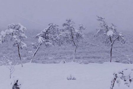 Azərbaycanın şimal bölgəsinə qar yağıb Azərbaycanın şimal bölgəsinə qar yağıb