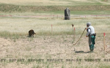 2023-cü ildə minatəmizləmə işləri plana uyğun davam etdiriləcək