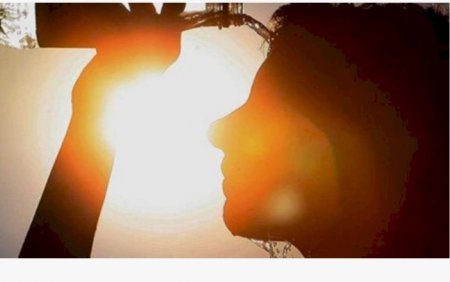 TƏBİB paytaxtda günvurma ilə bağlı müraciətlərin sayı açıqlayıb TƏBİB paytaxtda günvurma ilə bağlı müraciətlərin sayı açıqlayıb