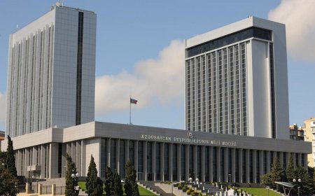 Avropa Parlamenti komitəsinin Azərbaycanla bağlı qəbul etdiyi hesabatları pisləyib