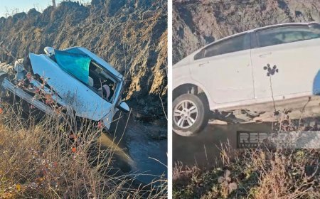 Qəbələdə avtomobil ağaca çırpılaraq yanıb. İki nəfər ölüb Qəbələdə avtomobil ağaca çırpılaraq yanıb. İki nəfər ölüb