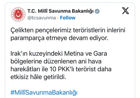 Türkiyə ordusu 10 PKK terrorçusunu məhv etdi