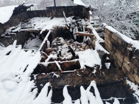 Tövləni qəsdən yandıraraq mal qaranın məhv edən oğurluq edən oğrular saxlanılıblar