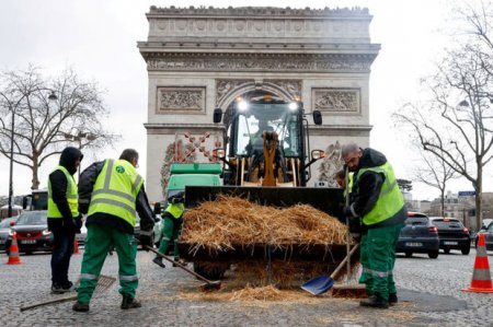 Parisin mərkəzi küçələri fermaya çevrilib