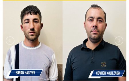 Şəki polisi 126 kg çətənə kolu aşkarlayıb