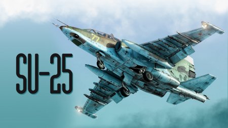 Düşmənə məxsus Su-25 təyyarəsi məhv edilib