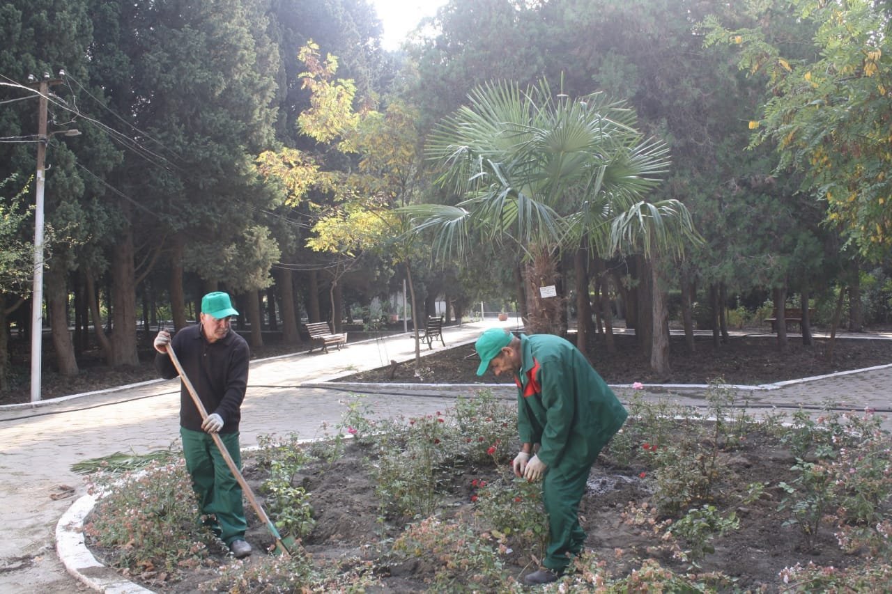 Nəbatat bağına yeni nəfəs gəldi 