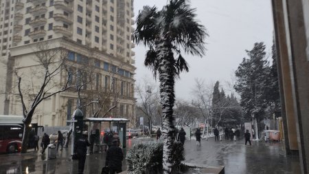 Bakıya ilk qar yağdı
