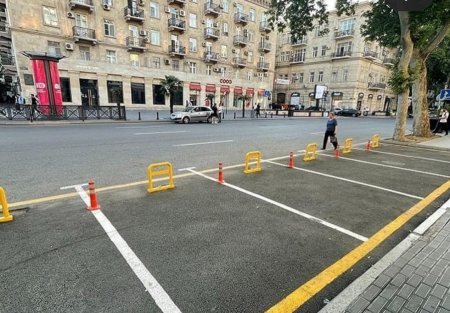 Ağacları kəsib "parkovka" edənlər niyə cəzalanmır?