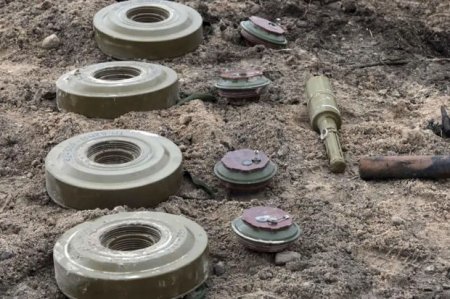 Lənkəran ərazisində tank əleyhinə minalar tapıldı