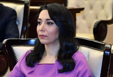 Ombudsman dünya birliyini Ermənistana təsir göstərməyə çağırıb