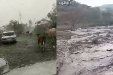  Dolu və sel  bəzi rayonlarında ciddi fəsadlar törədib