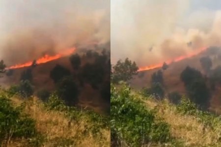 İranın qərbi Azərbaycan əyalətinin Sərdəşt meşələri yanır 