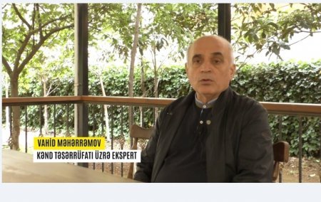 Qarabağda quruculuq işlərini prezidentin ailə şirkətləri həyata keçirir ARAŞDIRMA