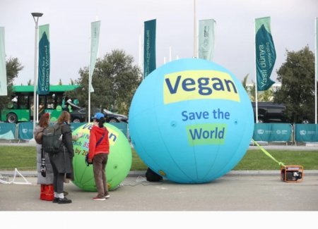 COP 29 da iqlim fəalları aksiya keçiriblər