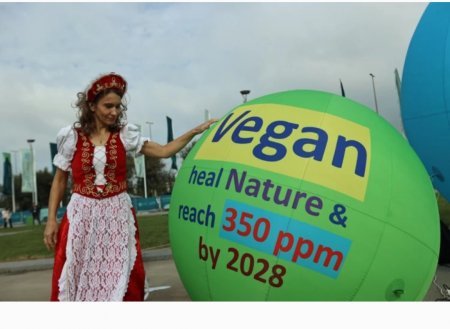 COP 29 da iqlim fəalları aksiya keçiriblər