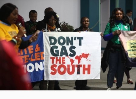 COP 29 da iqlim fəalları aksiya keçiriblər