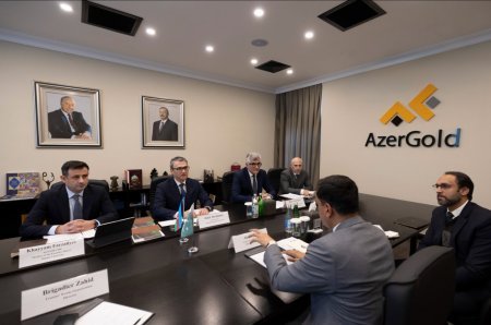  “AzerGold” QSC-də Pakistanın “Frontier Works Organization” şirkətinin nümayəndə heyəti ilə görüş keçirilib