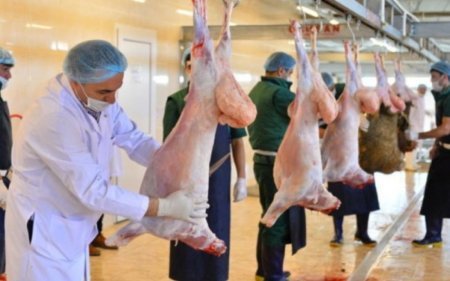 Qurbanlıq heyvanın kəsimi zamanı bu tələblərə əməl edilməlidir – AQTA-dan xəbərdarlıq