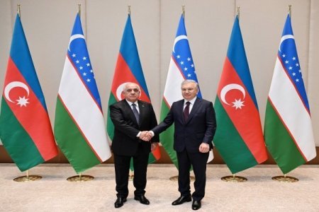 Əli Əsədov Özbəkistan Prezidenti ilə görüşdü