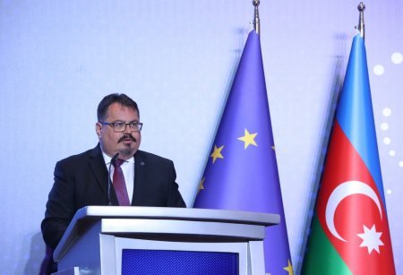 Aİ rəsmisi Rusiyada azərbaycanlılara qarşı zorakılıqdan narahatdır