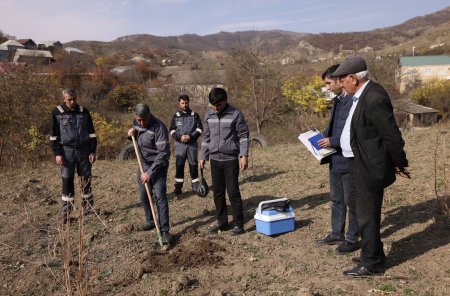 “Daşkəsən və Göygöl rayonlarında aqrar inkişafa dəstək” layihəsi uğurla davam etdirilir
