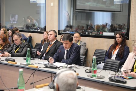 Vyanada keçirilən ATƏT toplantısında Azərbaycanda media azadlığı və rəqəmsal repressiyalar müzakirə olunub