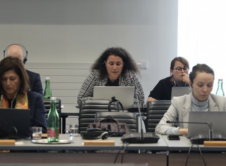 Vyanada keçirilən ATƏT toplantısında Azərbaycanda media azadlığı və rəqəmsal repressiyalar müzakirə olunub