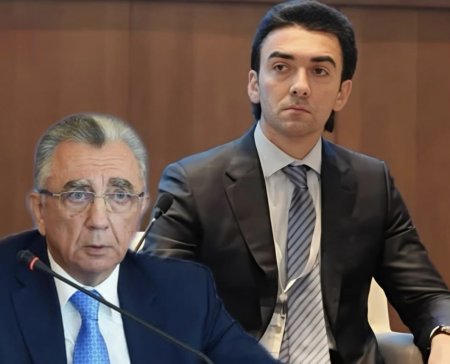 Şamil Əzizov Ekologiya Nazirliyində müşavir təyin olunub